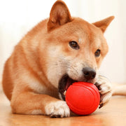 Rubber bite-resistant dog training ball, view 3 - MRSLM
