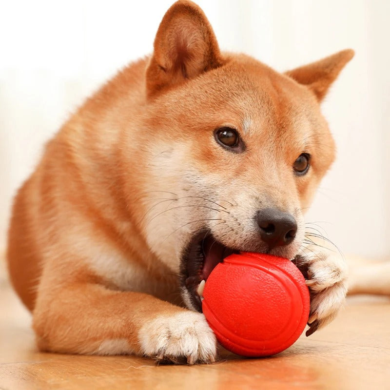 Rubber bite-resistant dog training ball, view 3 - MRSLM