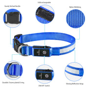 LED dog collar, view 7 - MRSLM