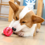 interactive dog treat ball, view 15 - MRSLM