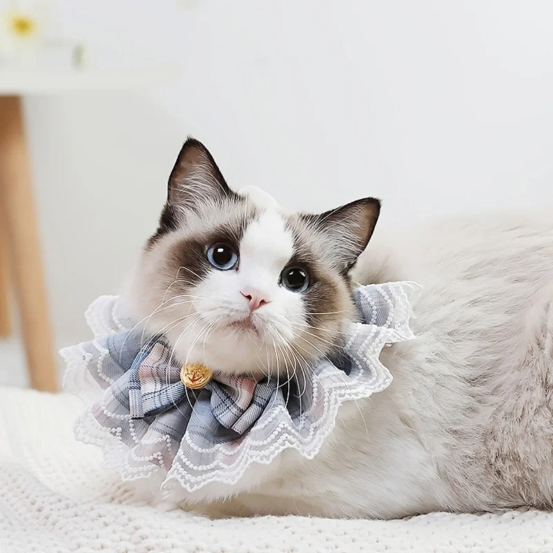 cute lace bowtie pet bib, view 8 - MRSLM