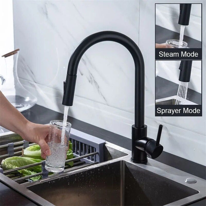 Kitchen Faucet with Pull-Out Sprayer