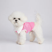 breathable summer dog vest - MRSLM