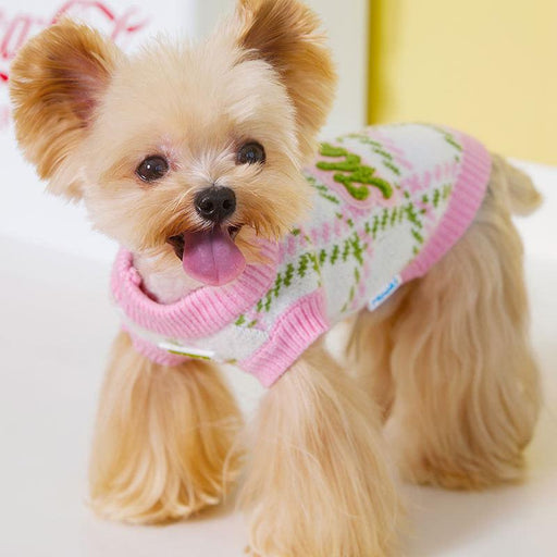 warm knit winter pet sweater - MRSLM