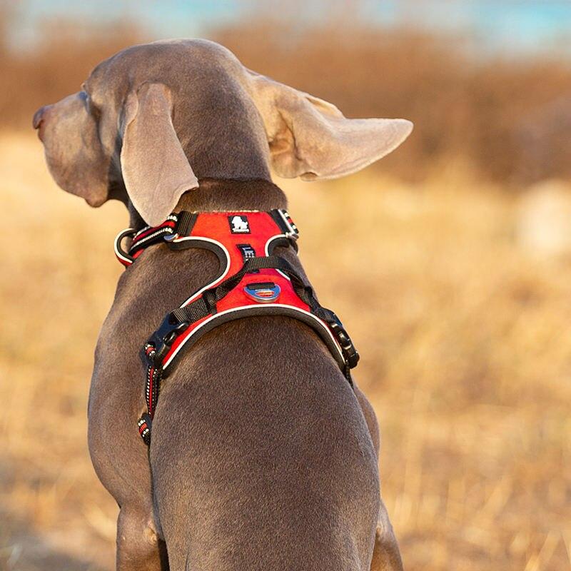no-pull dog harness - MRSLM