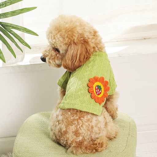 cozy knitted floral dog sweater - MRSLM