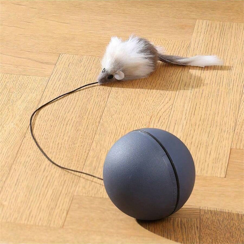 automatic rolling cat toy ball - MRSLM