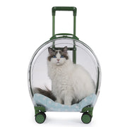 transparent pet trolley backpack, view 7 - MRSLM