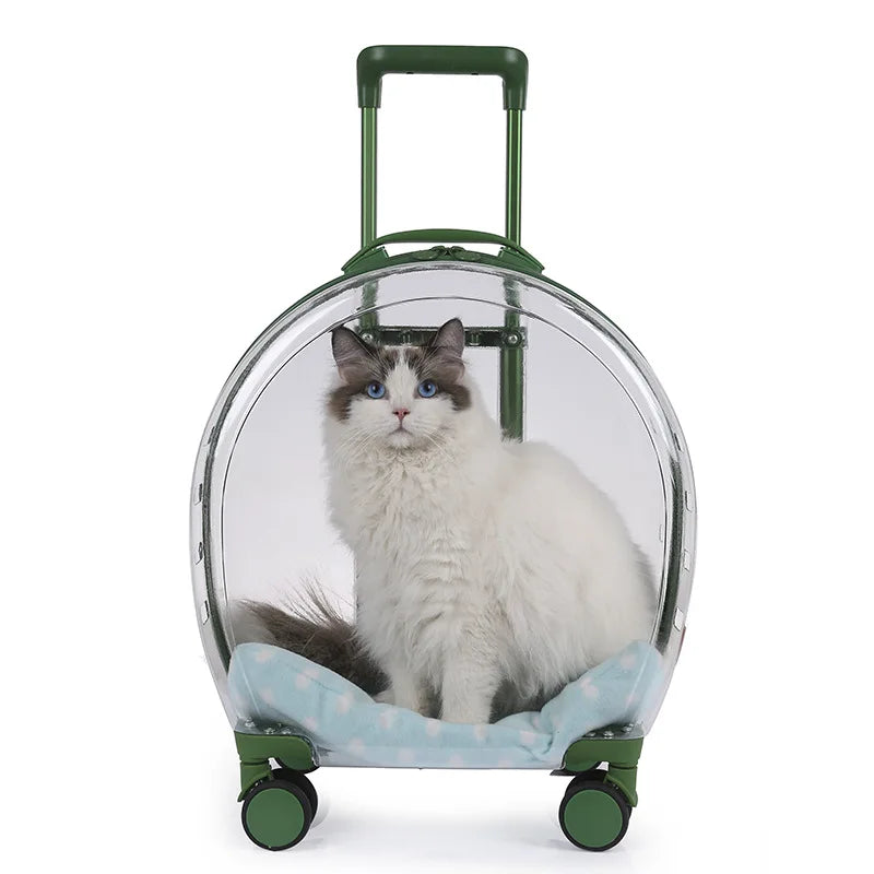 transparent pet trolley backpack, view 7 - MRSLM