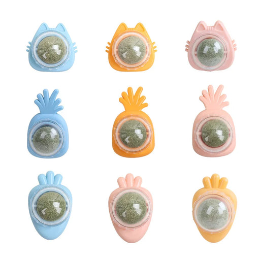 interactive catnip lollipop chew toy - MRSLM