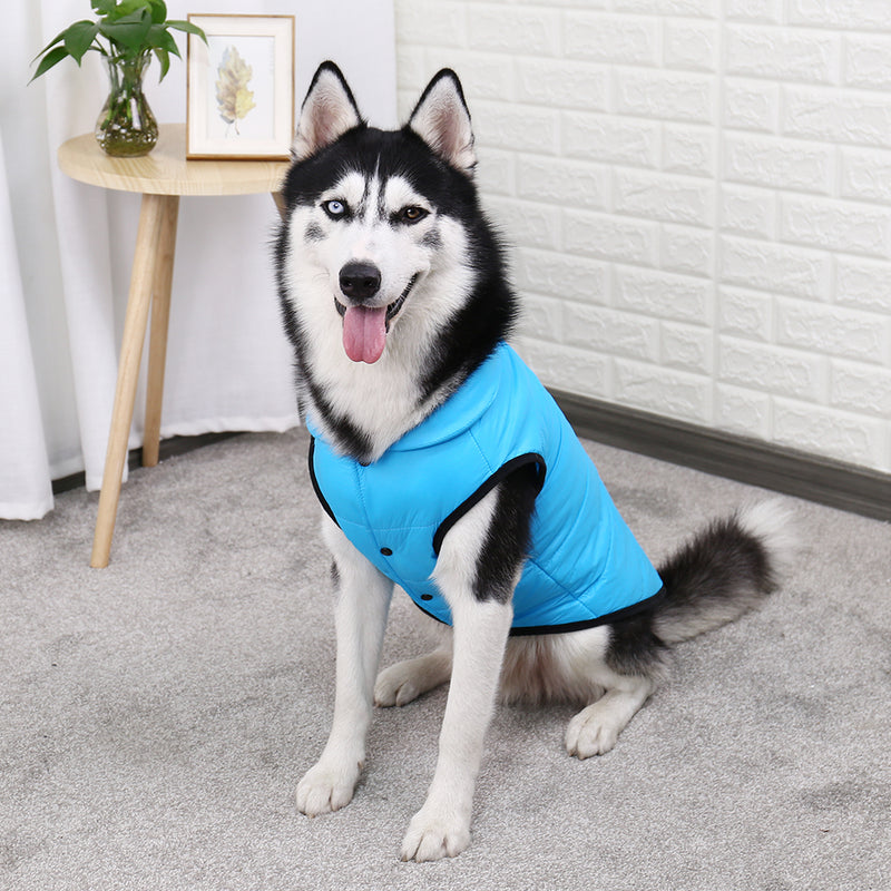 cozy winter dog jacket, view 8 - MRSLM