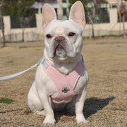 adjustable no-pull dog harness set, view 7 - MRSLM