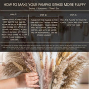 dried pampas grass bouquet, view 8 - MRSLM