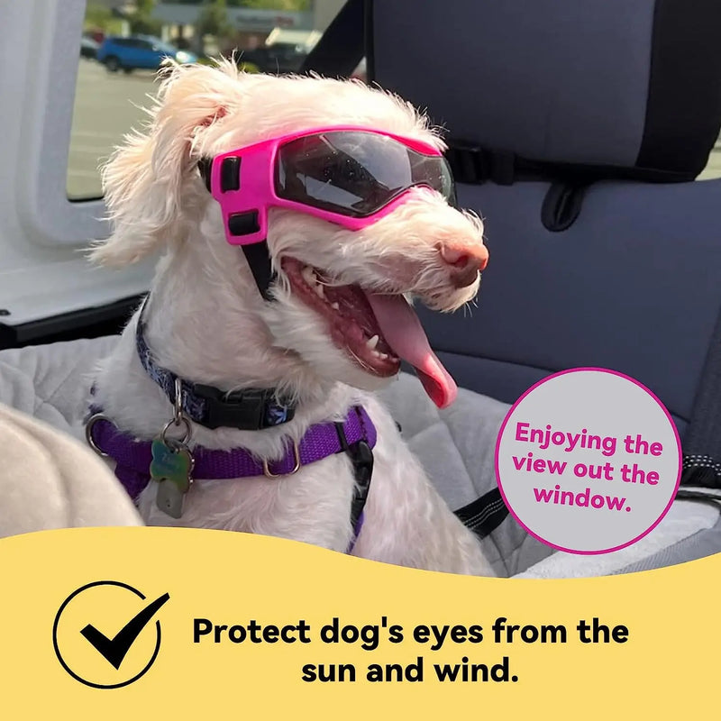 small dog sunglasses, view 5 - MRSLM