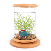 rotatable mini fish tank, view 7 - MRSLM