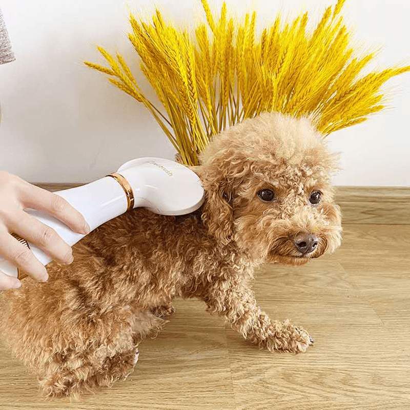 2 in 1 Dog Cat Pet Hair Dryer Comb Speed and Temperatures Adjustable with Low Noise Grooming Fur Blower Brush Household - MRSLM