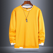 men's fake two-piece sweater, view 4 - MRSLM