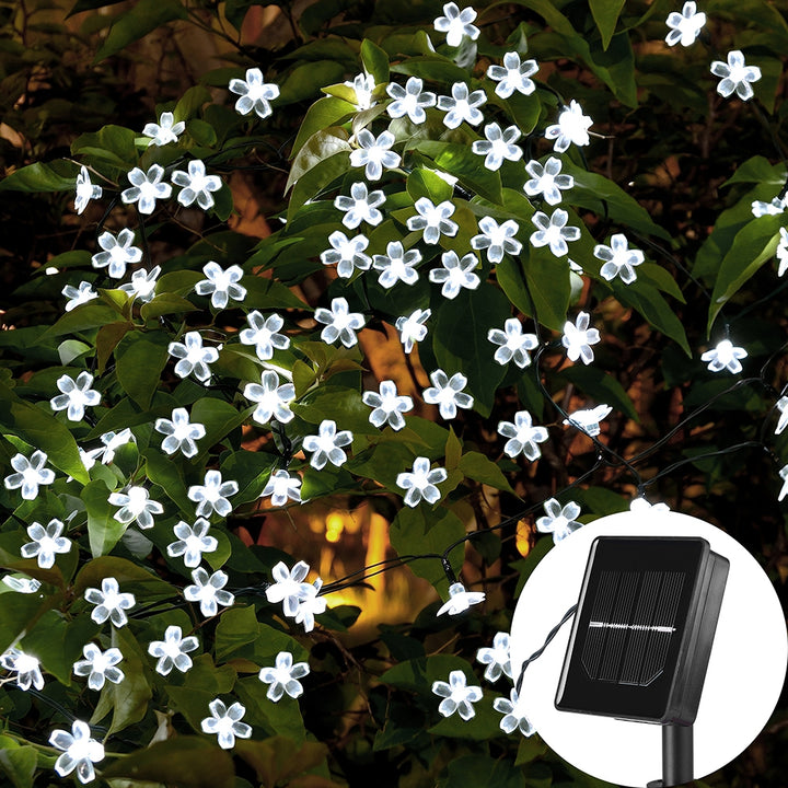 Field Flowers LED Fairy Lights