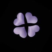 heart petals satin confetti, view 6 - MRSLM