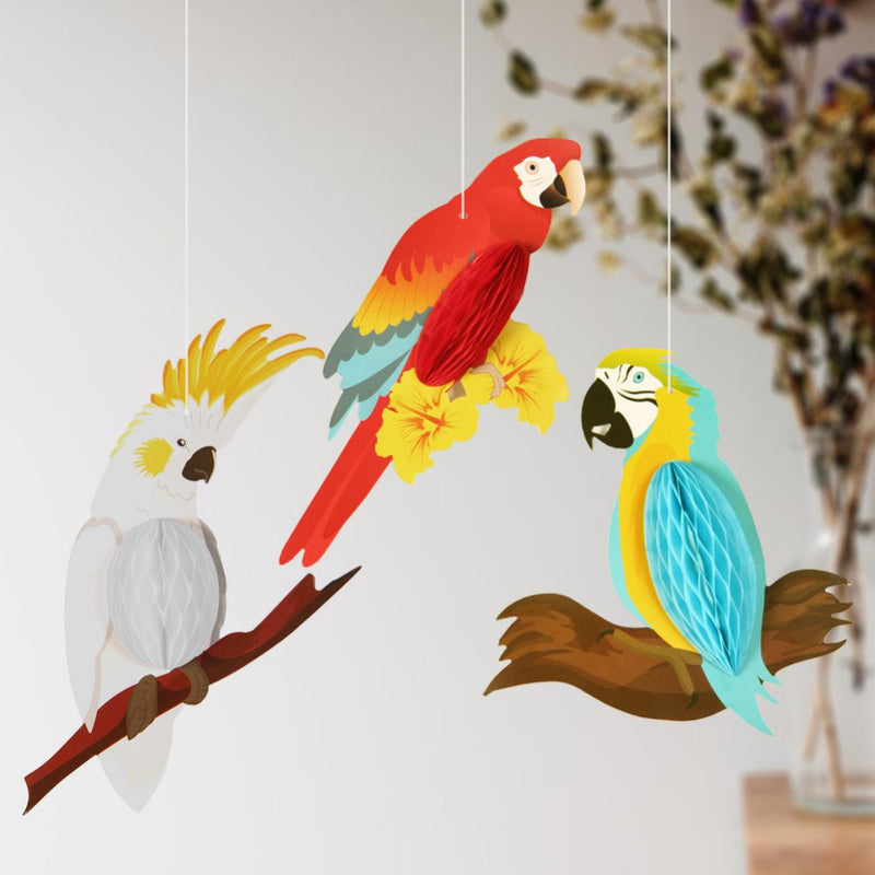 Hanging rainbow tropical parrots, view 4 - MRSLM