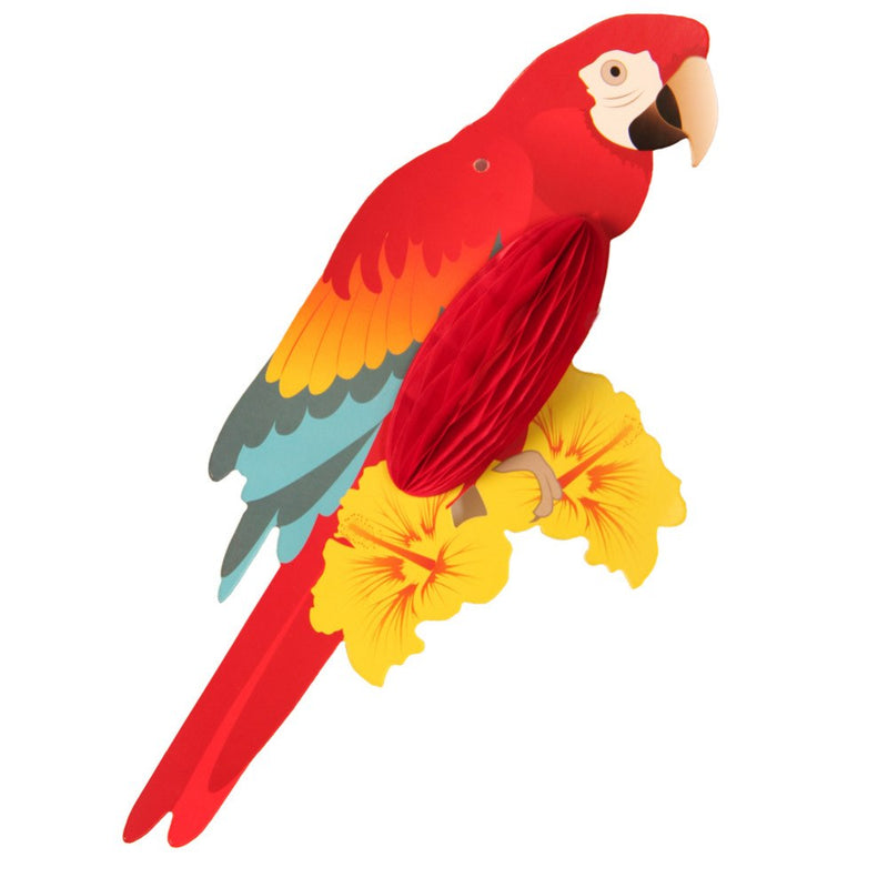 Hanging rainbow tropical parrots, view 7 - MRSLM