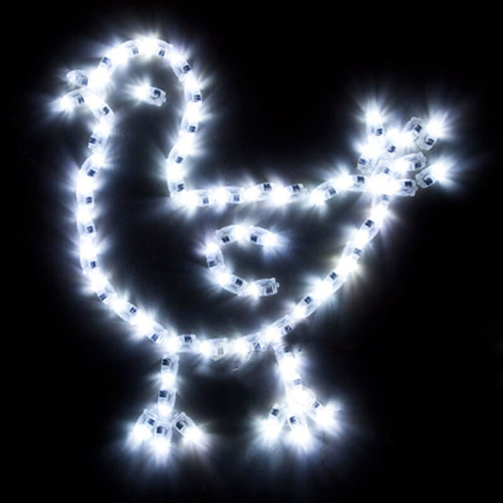 LED Bulbs 10 Pcs Set for Balloons