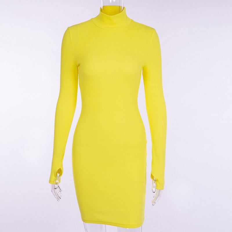 Women's Ribbed Knitted Turtleneck Mini Dress