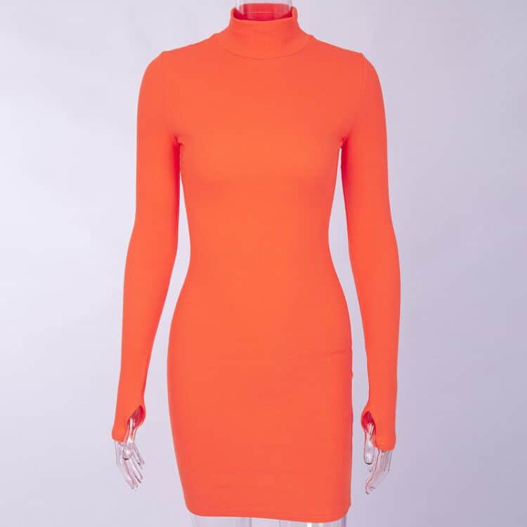 Women's Ribbed Knitted Turtleneck Mini Dress