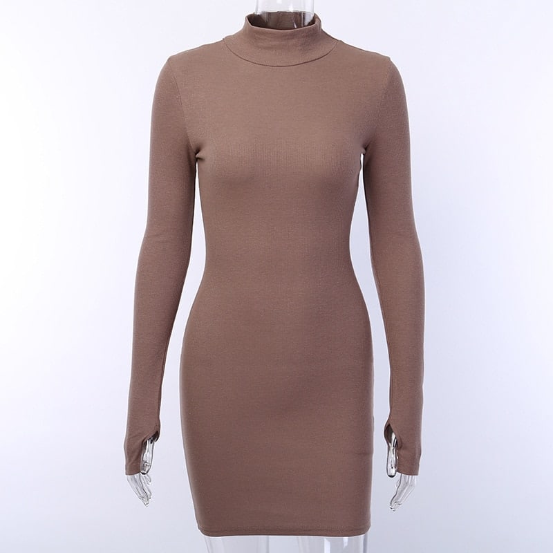 Women's Ribbed Knitted Turtleneck Mini Dress