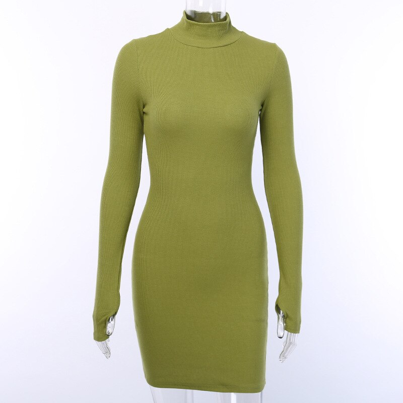 Women's Ribbed Knitted Turtleneck Mini Dress