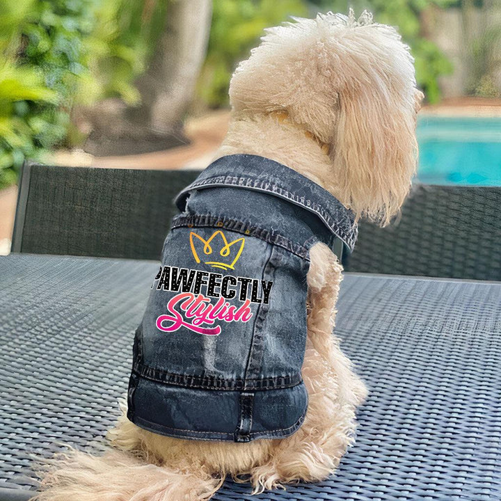 Pawfectly Stylish Dog Denim Vest - Crown Dog Denim Jacket - Printed Dog Clothing - MRSLM