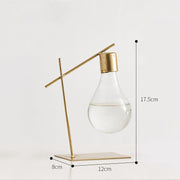hydroponic bulb vase - MRSLM