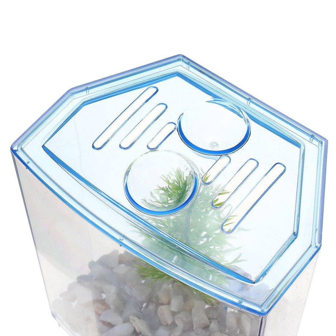 1/2 Grids Mini Betta Aquarium Fish Tank Isolation Box Portable With Divider - MRSLM