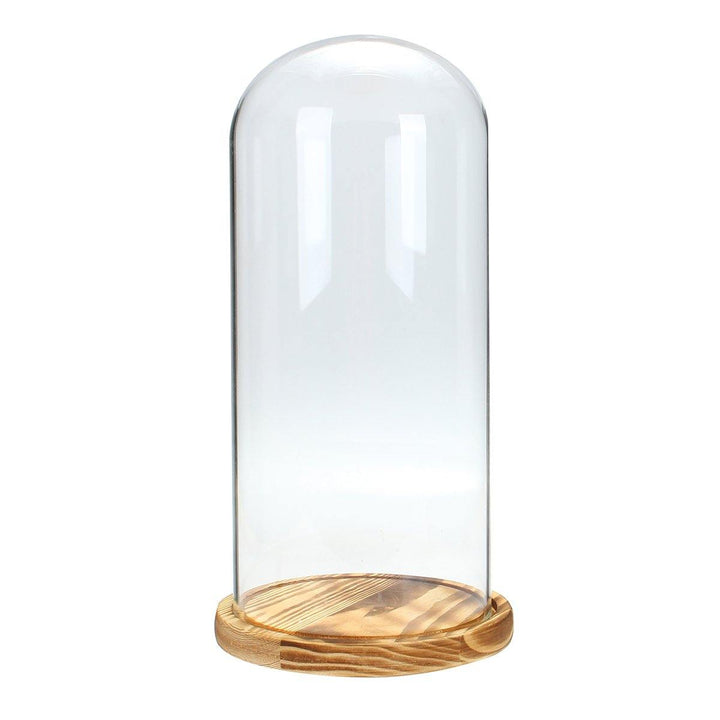 33x15cm Glass Dome Wooden Base Cloche Bell Jar Display Stand Micro Landscape Dried Flower DIY Vase - MRSLM
