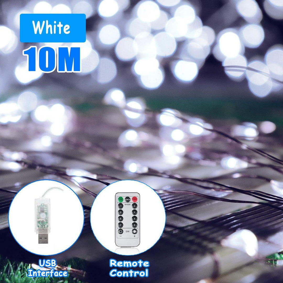 10M 100 LED String Light USB Fairy Night Lamps Holiday Christmas Decor + Remote Control - MRSLM