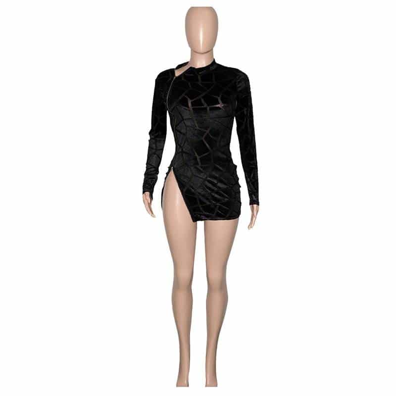 Women's Zipped Mini Dress