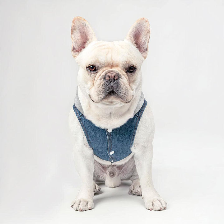 Acted Crazy Dog Denim Jacket - Funny Dog Denim Coat - Colorful Dog Clothing - MRSLM