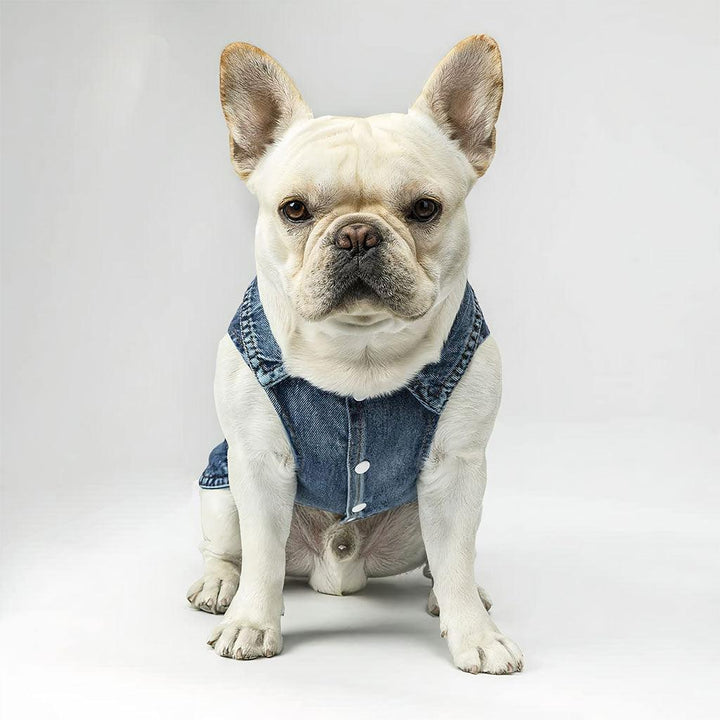 Friend Dog Denim Vest - Colorful Dog Denim Jacket - Printed Dog Clothing - MRSLM